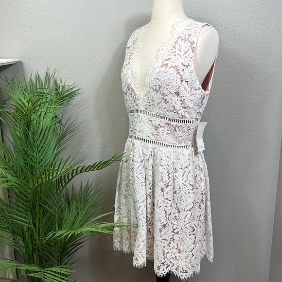 NWT Tobi Lace Midi Dress Fit Flare Cream Lace Nude Underlining Large - Picture 3 of 11